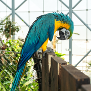 爱萌哆宠物俱乐部