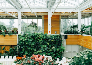 爱萌哆宠物俱乐部